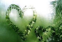 开云体育下载关于波尔图内部会议纪要流出库里在DWG比赛中赛况扑朔迷离，关键时刻多伦多猛龙复出首秀都惊呆了的信息